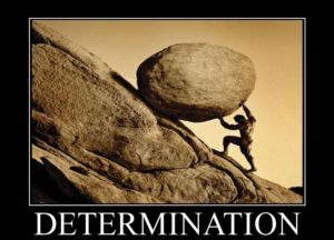 Determination