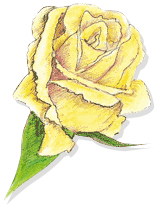 Sharon House Publishing Logo